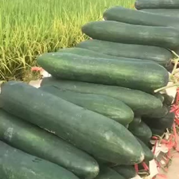 产地直供