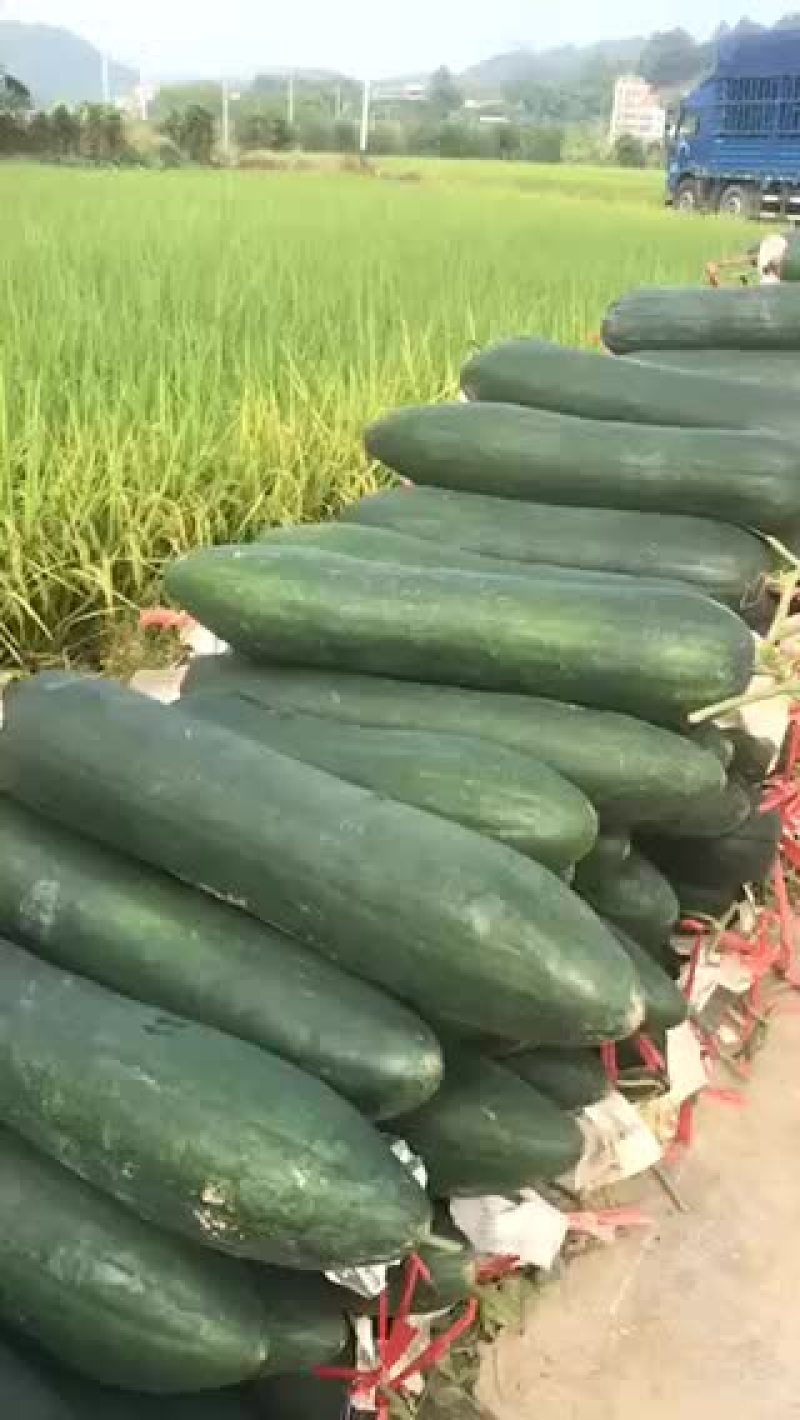 产地直供