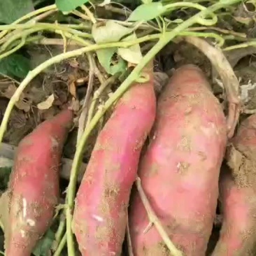 大量好货