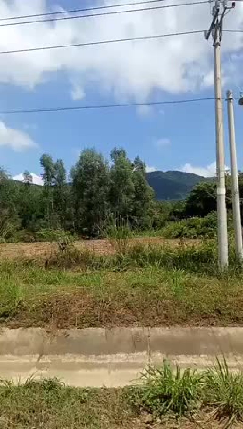 荒地出租20元一亩合肥(荒地出租20元一亩合肥多少钱)