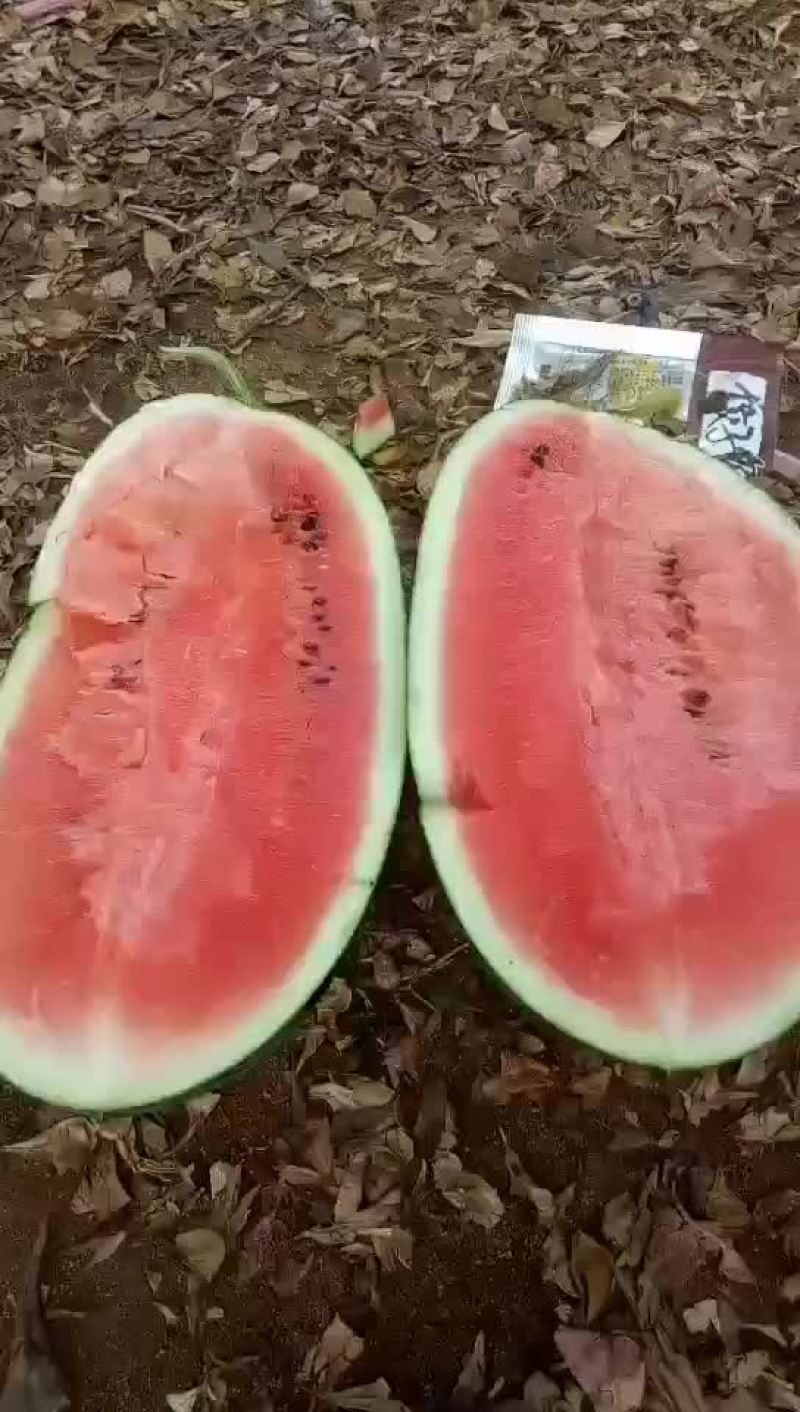 哈密瓜
