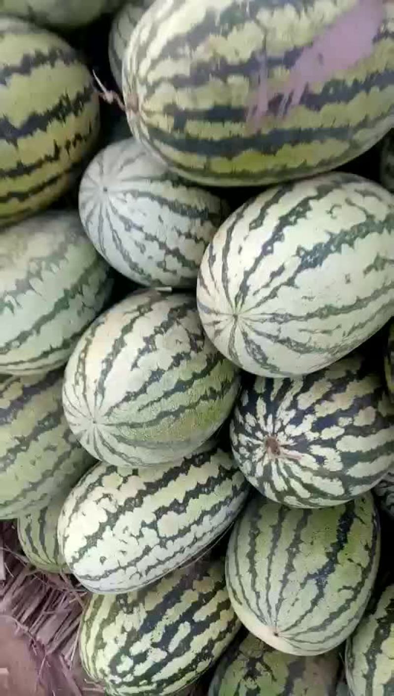 存货西瓜