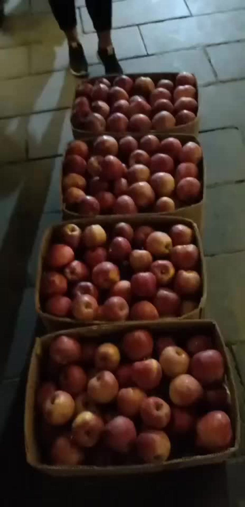 红星苹果金冠苹果酥梨