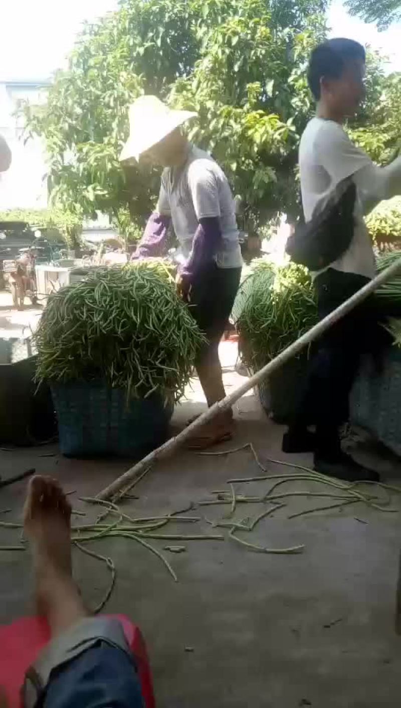 豆角