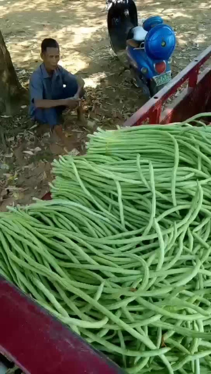 豆角