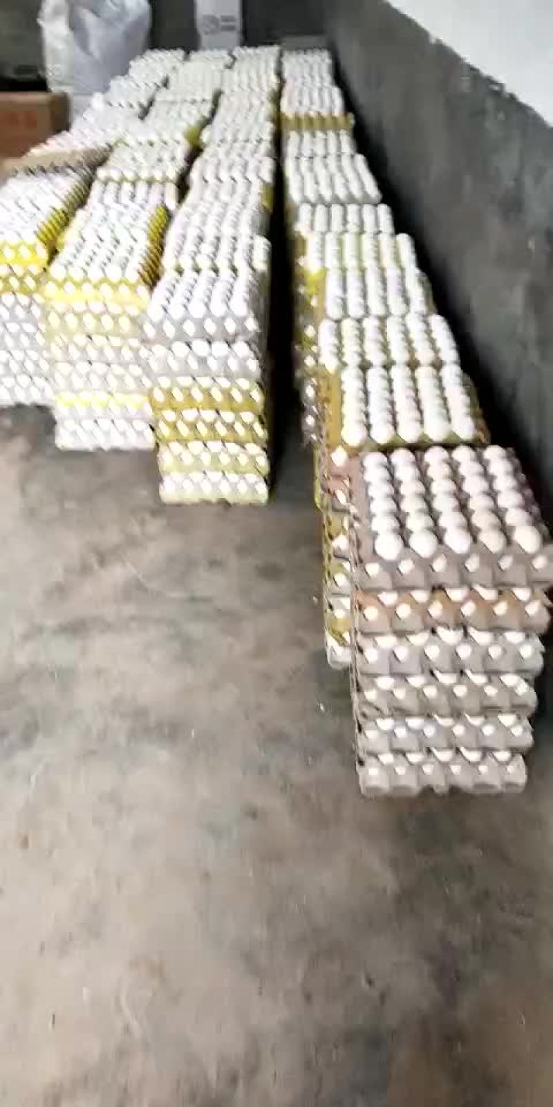 鸡蛋