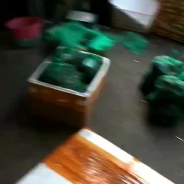洪湖大闸蟹