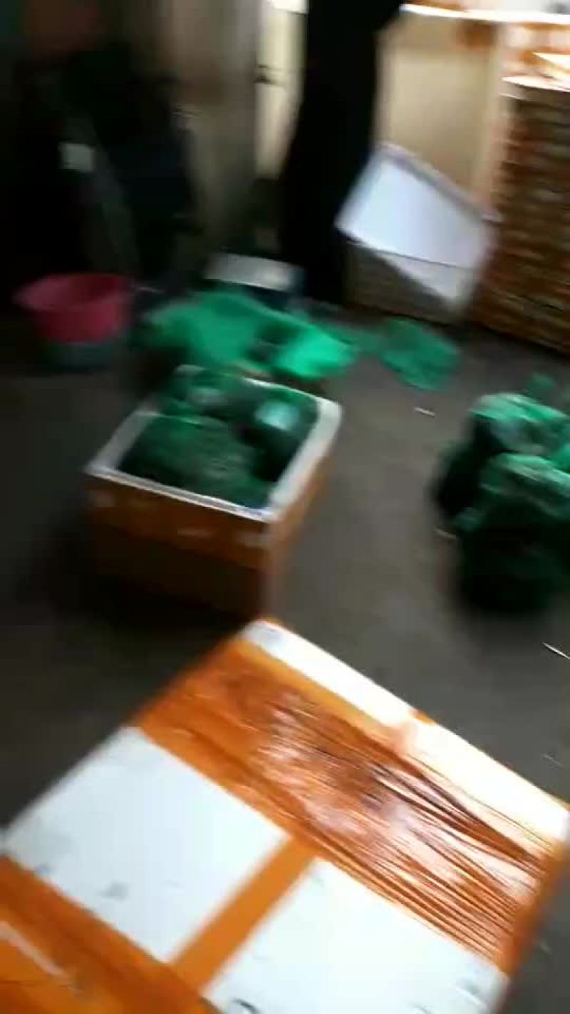 洪湖大闸蟹