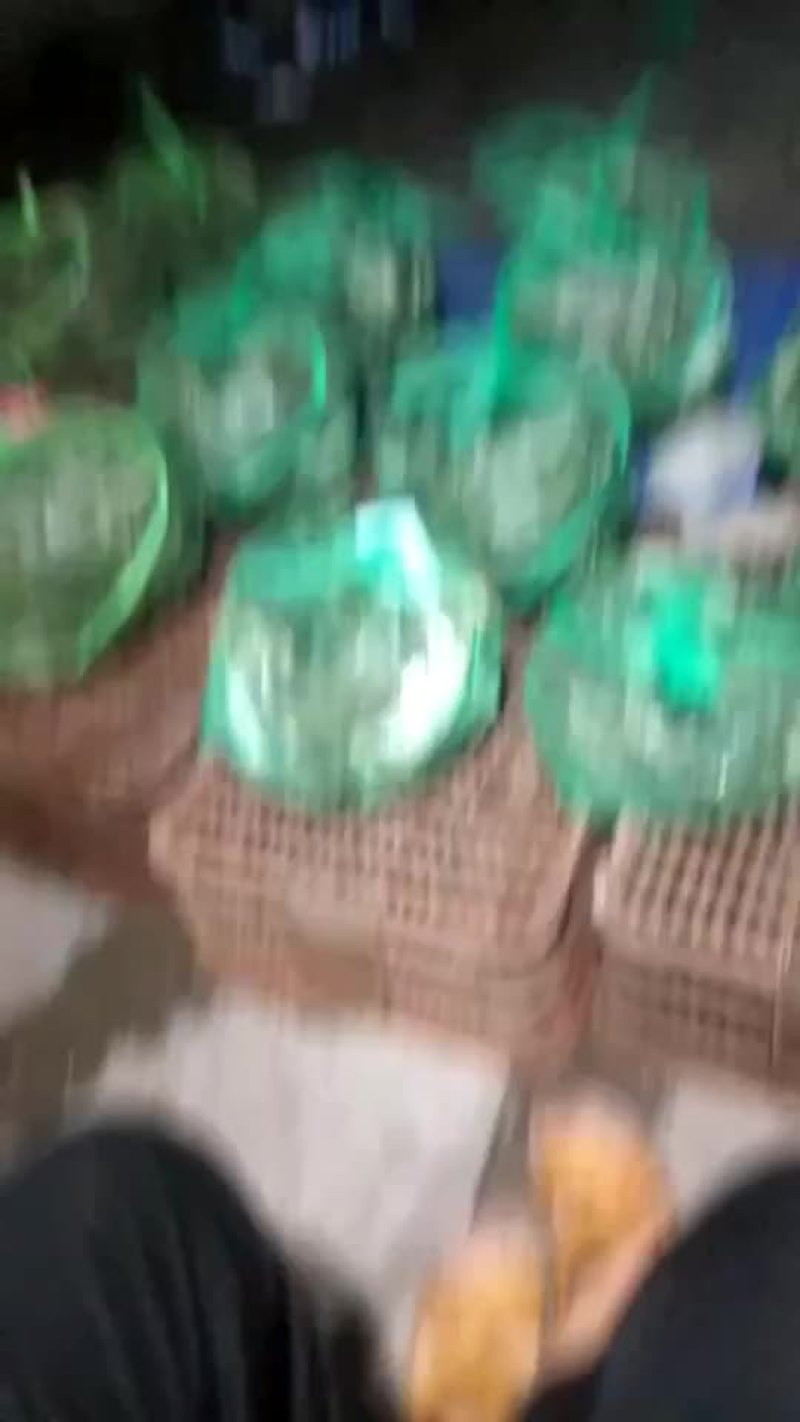 洪湖清水大闸蟹