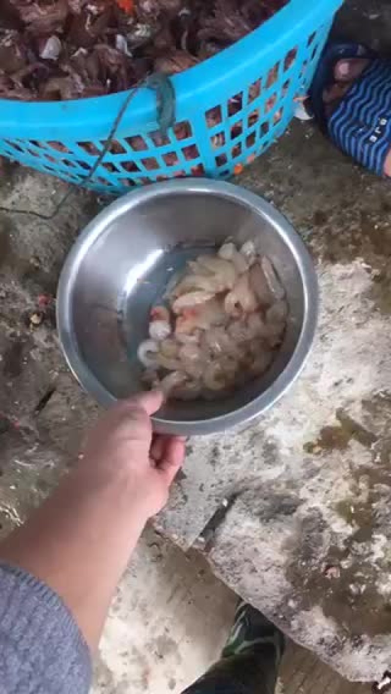 寄居蟹肉