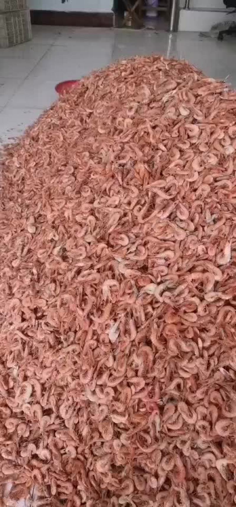 铁皮虾，红虾，渤海小红虾，食品厂可谈