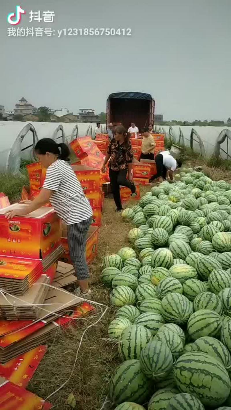 8424.美都，玖甜