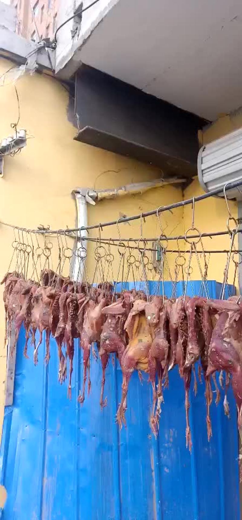 野鸡风干鸡