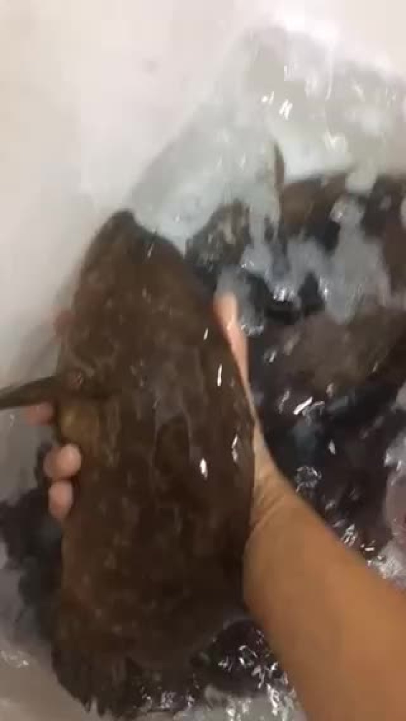 资源丰富欢迎👏