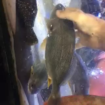 资源丰富欢迎👏