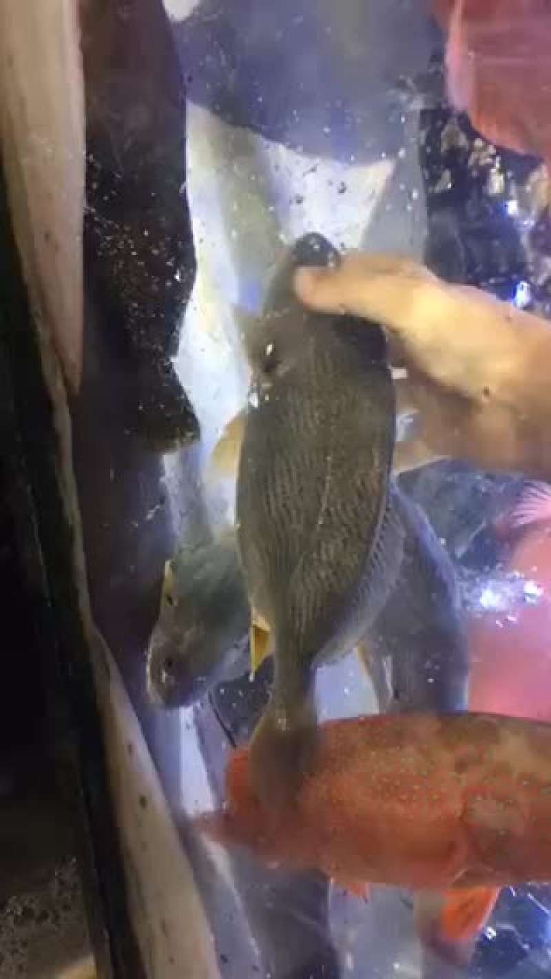 资源丰富欢迎👏