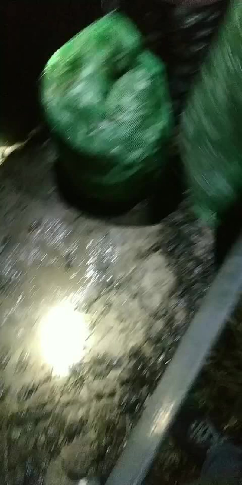 盘锦蟹苗以大量上市有需要的朋友请联系