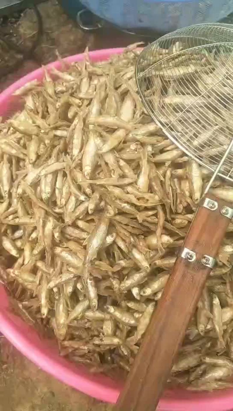 油炸小鱼仔
