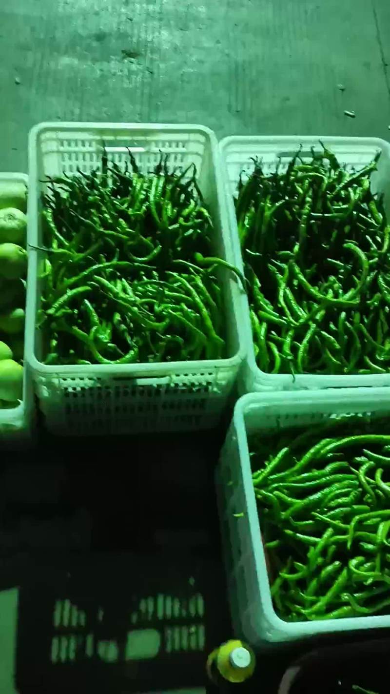 鲜辣椒