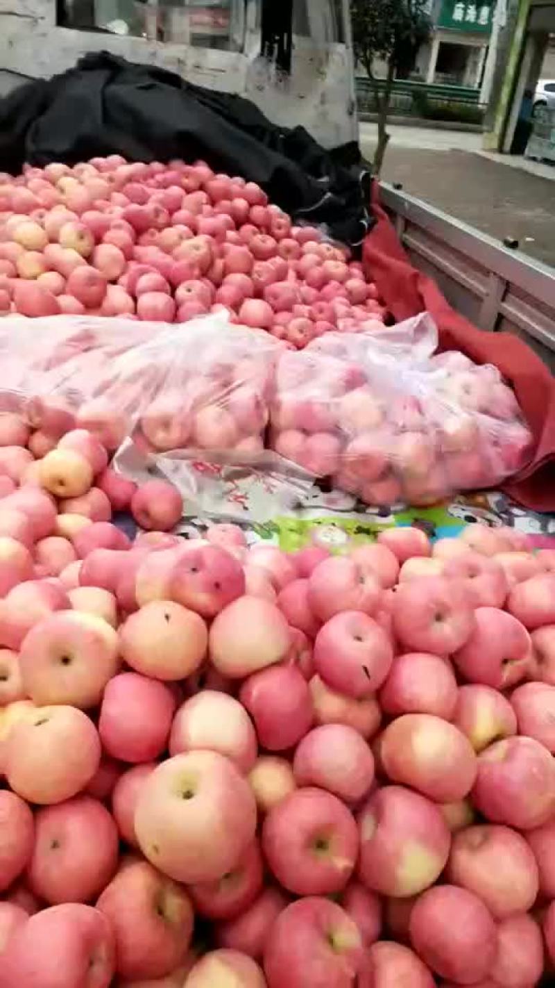 富士苹果