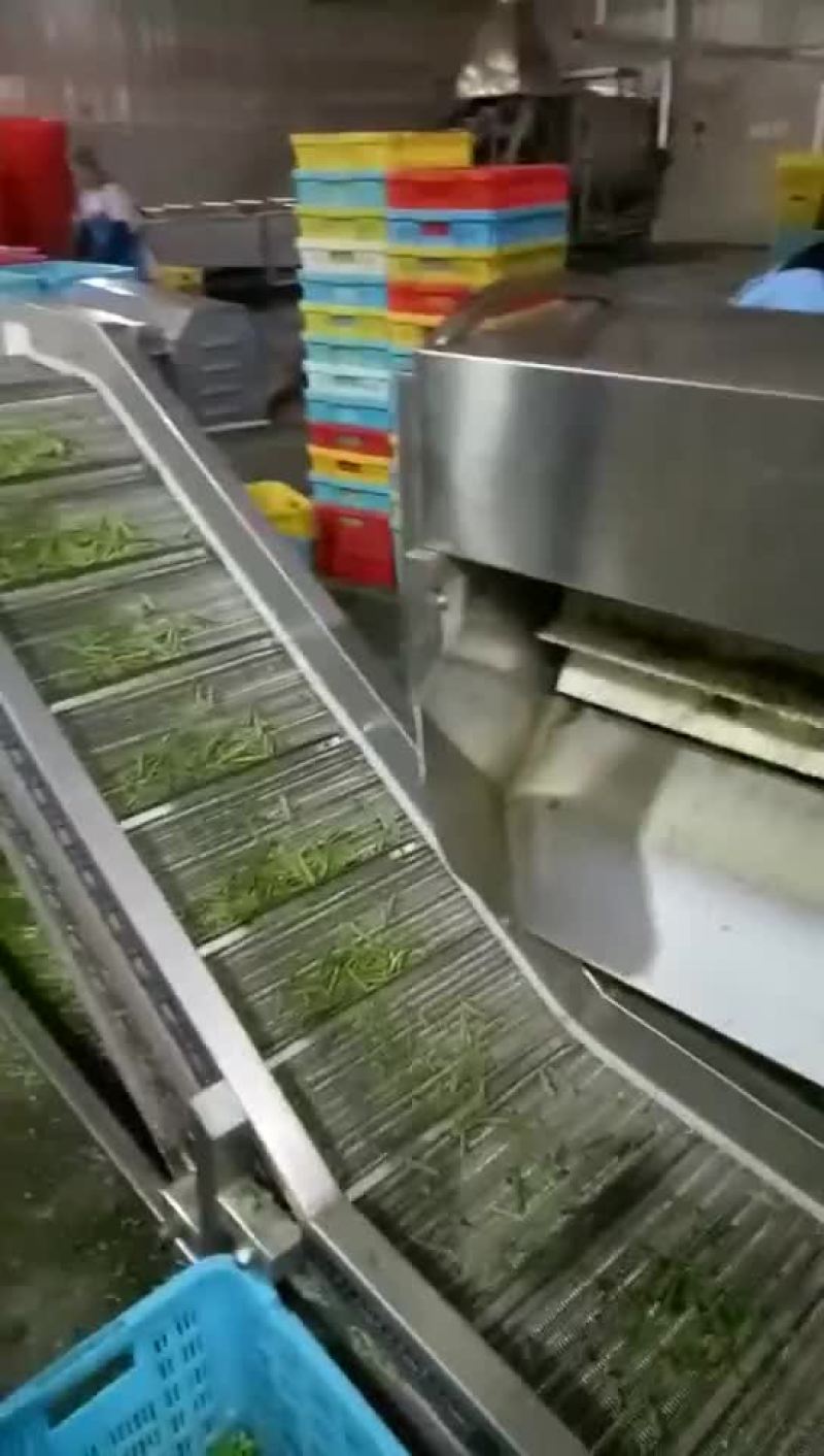 蔬菜机台
