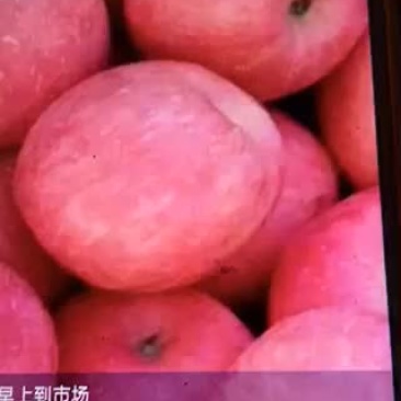 纸袋寒富