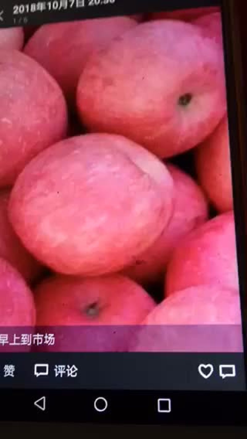 纸袋寒富