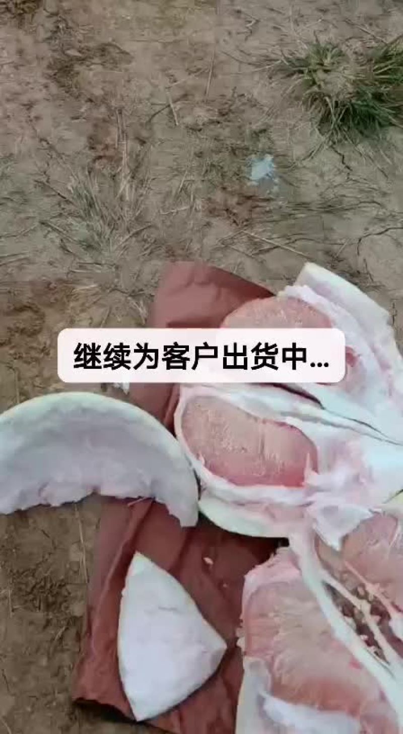 柚子，一手货源，质量非常好