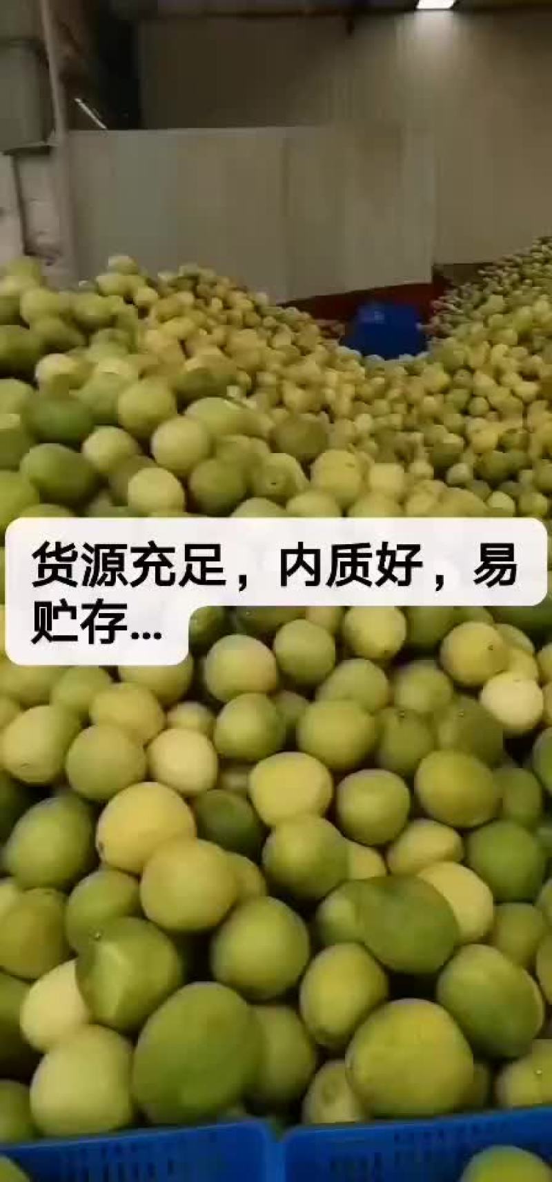 柚子，一手货源，质量非常好