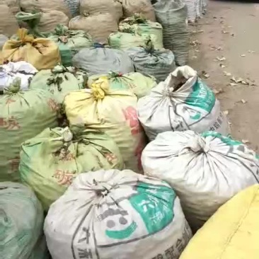 山楂