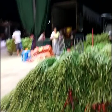 豆角