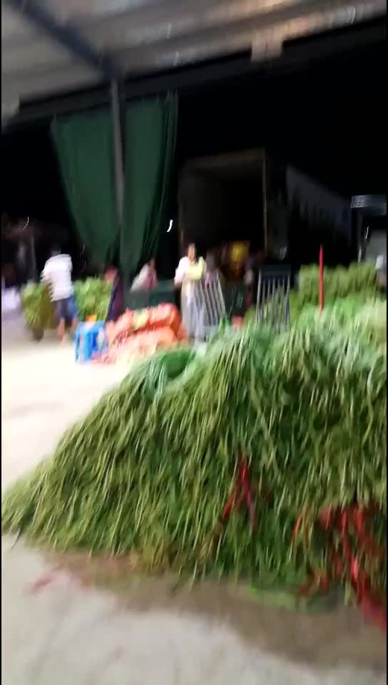 豆角