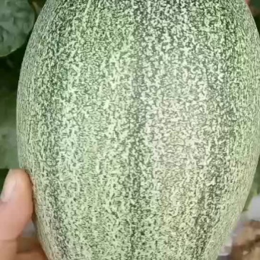 代办运费自付