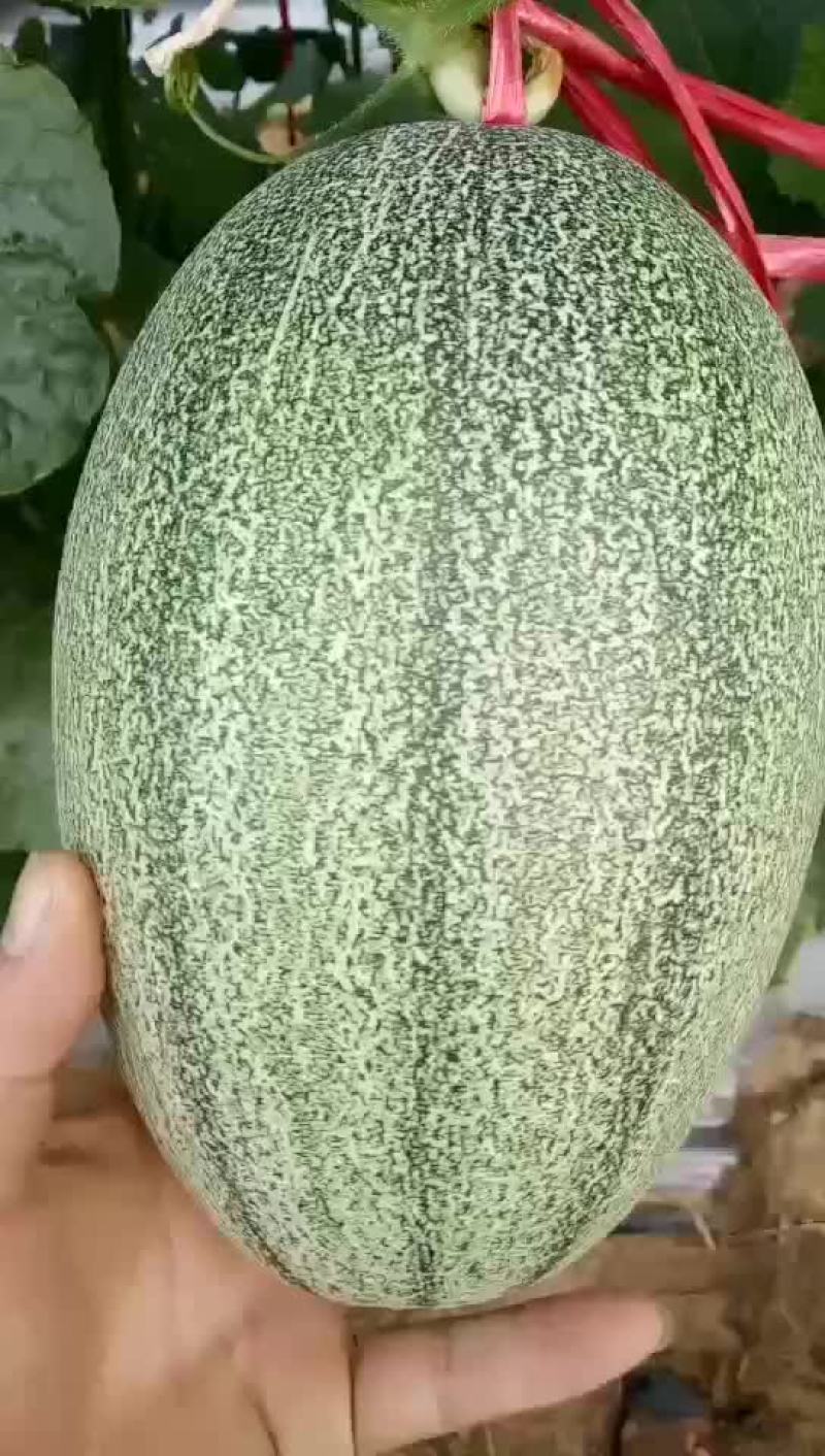 代办运费自付