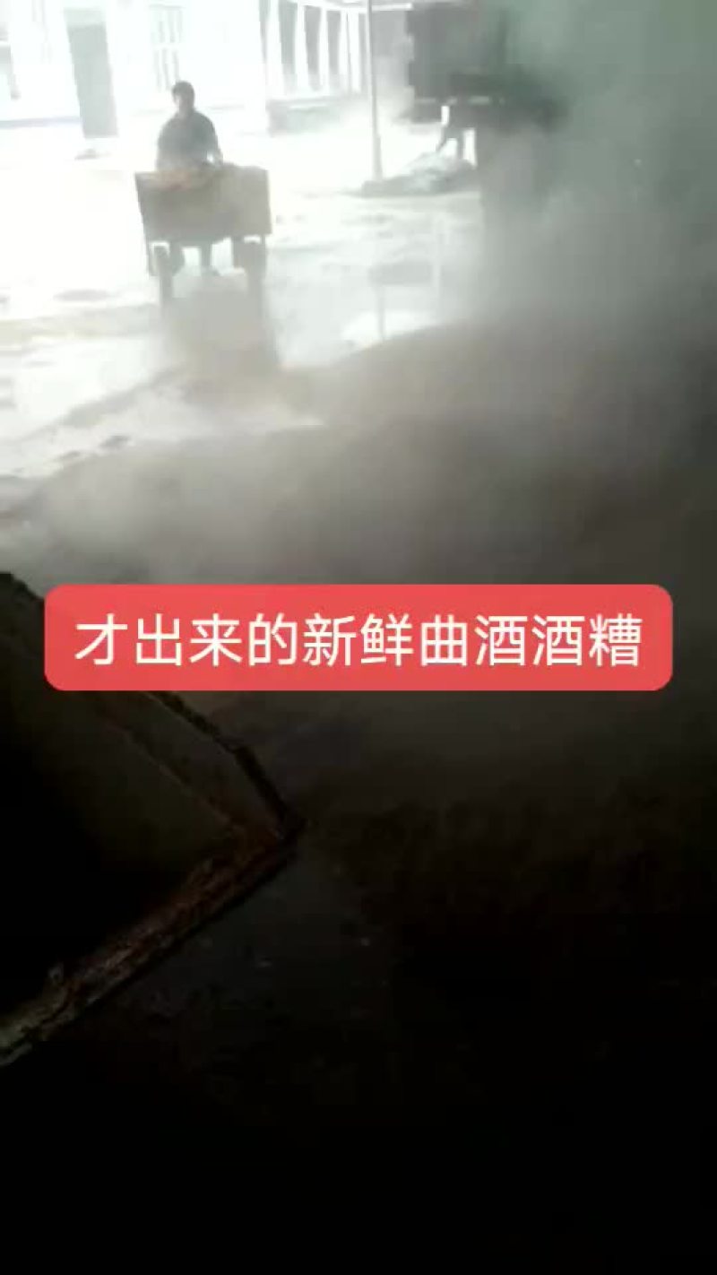 曲酒酒糟
