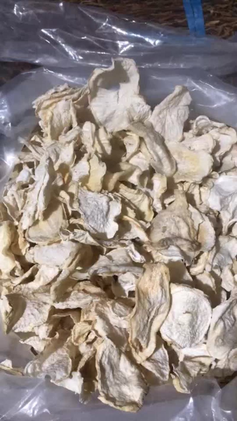 萝卜片
