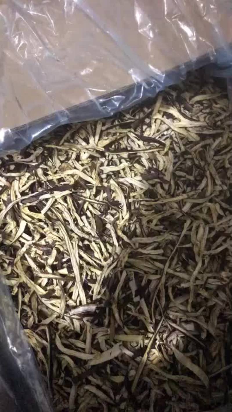 茄子条