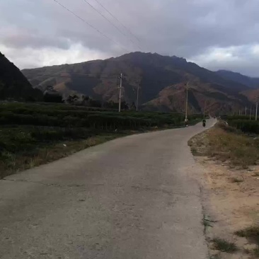 场地