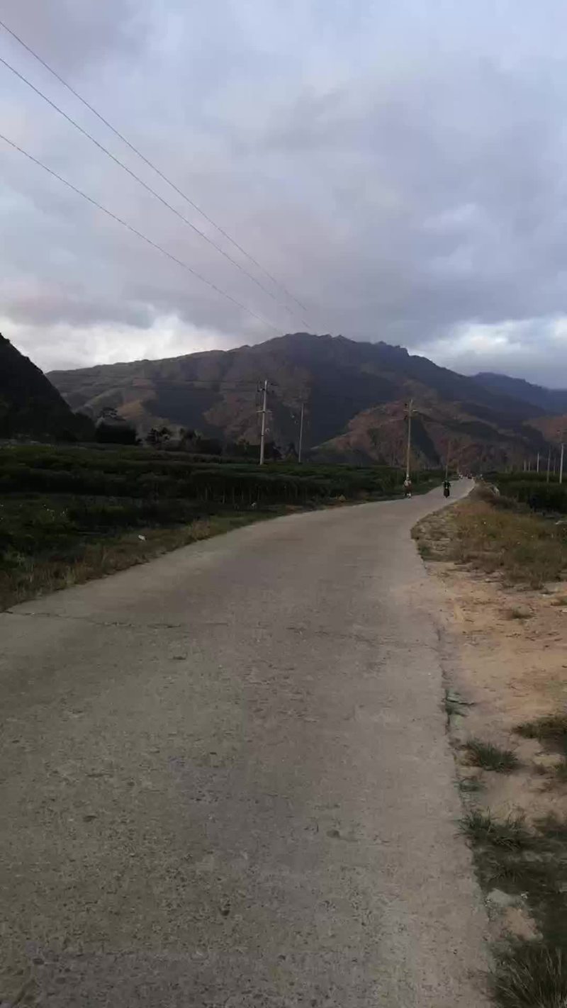 场地