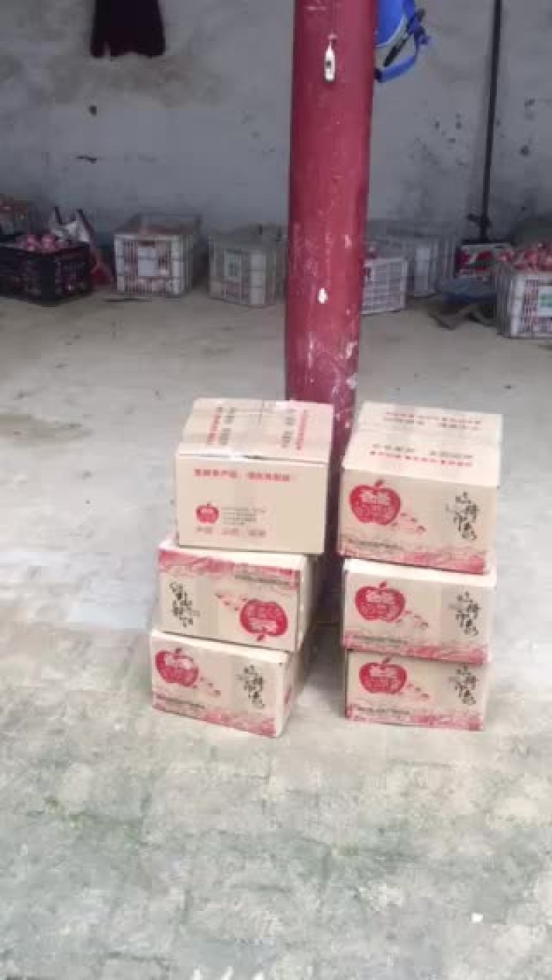 临猗县红富士苹果先尝后买（一件代发）