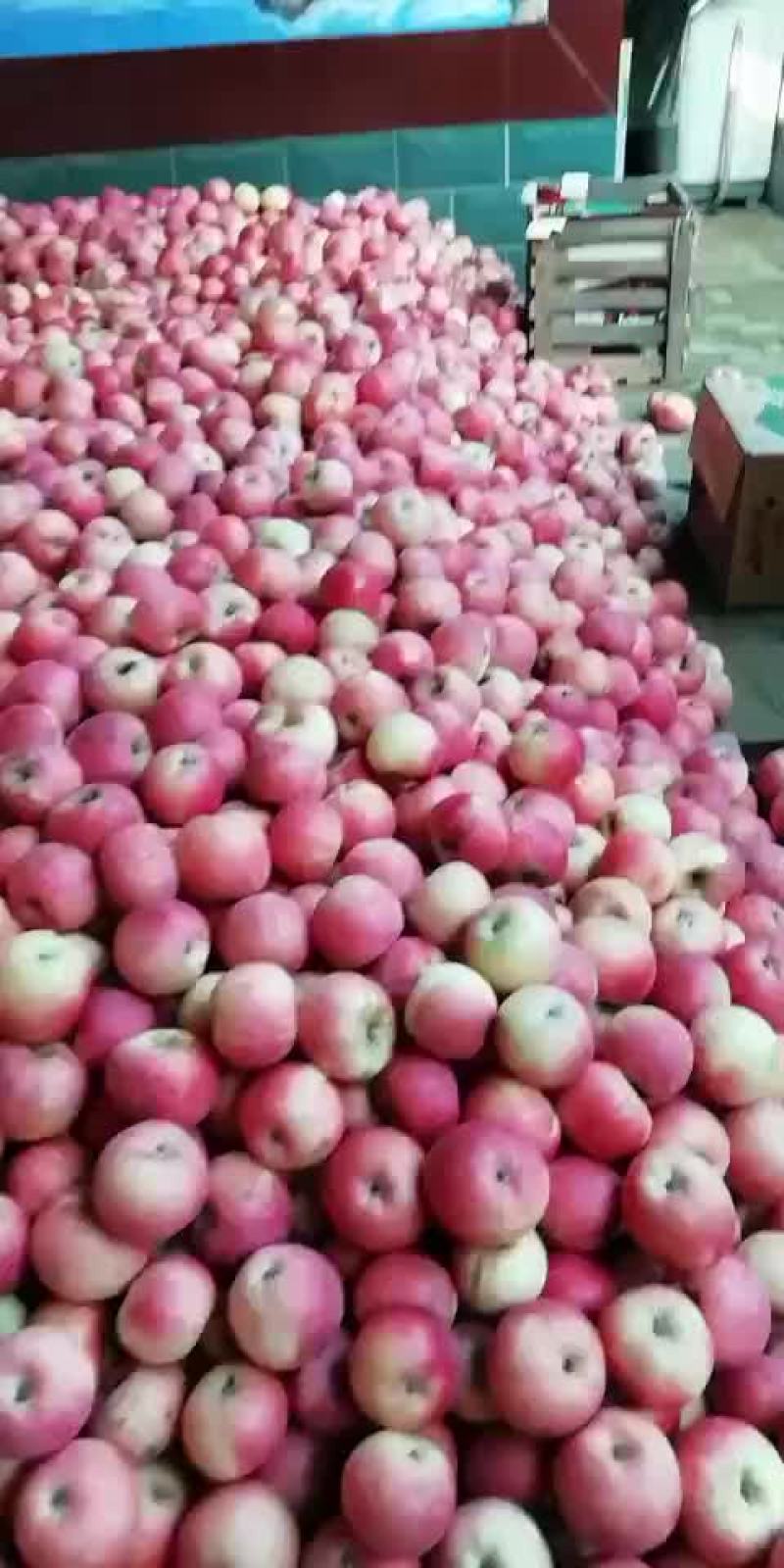 斗南，纸加膜富士