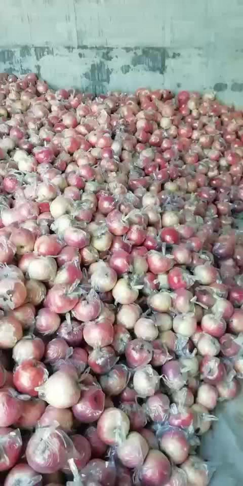 斗南，纸加膜富士