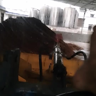 大量出售曲酒酒糟