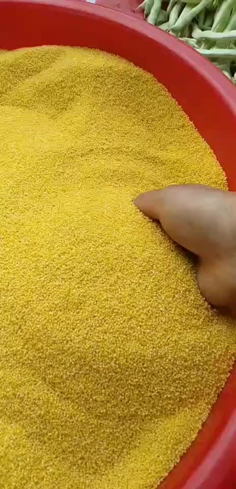 丰宁黄旗小米