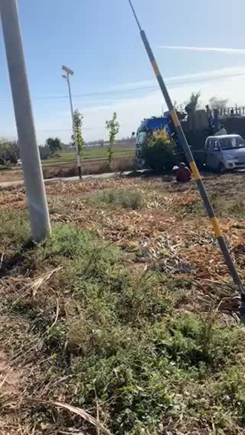 花牛