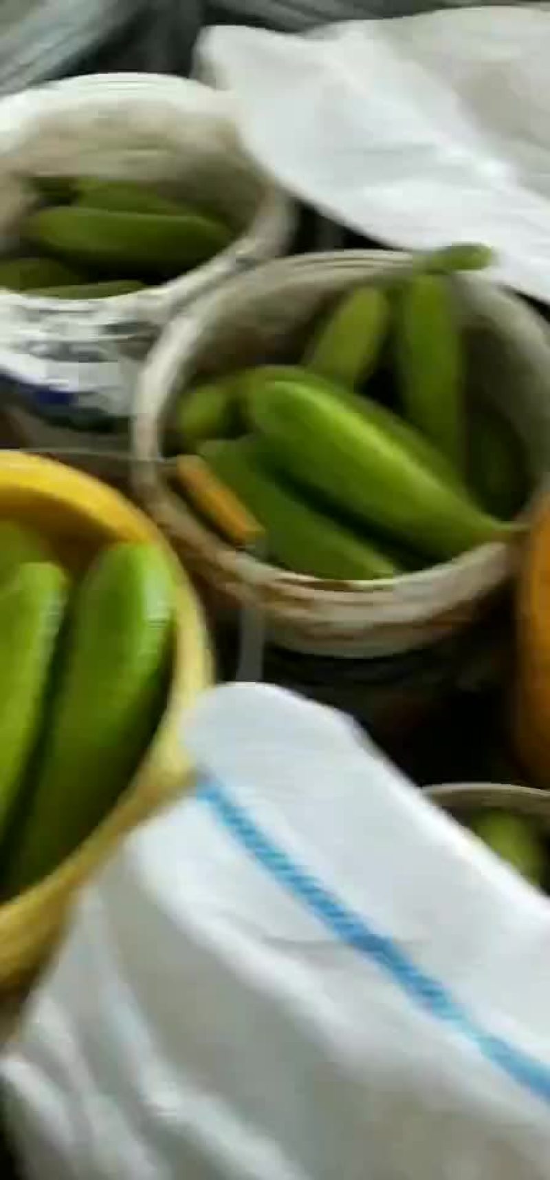 绿皮西胡芦质量很好啊