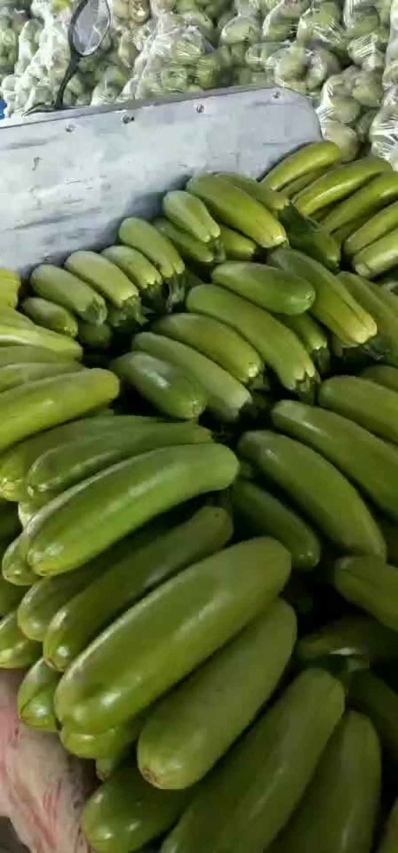 绿皮西胡芦质量很好啊