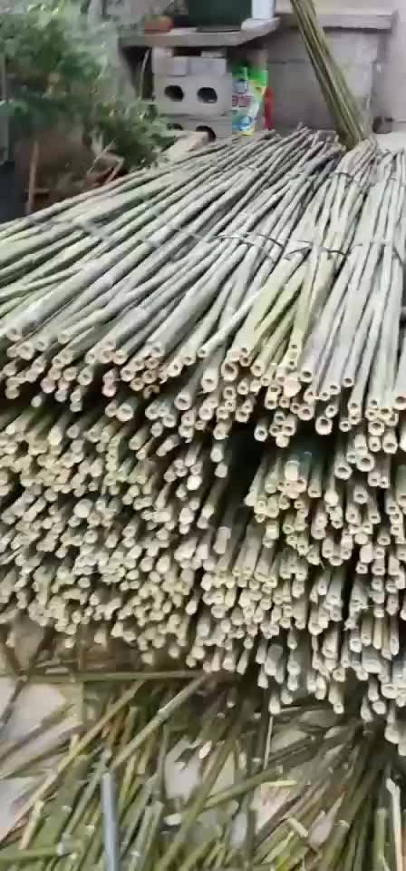竹竿