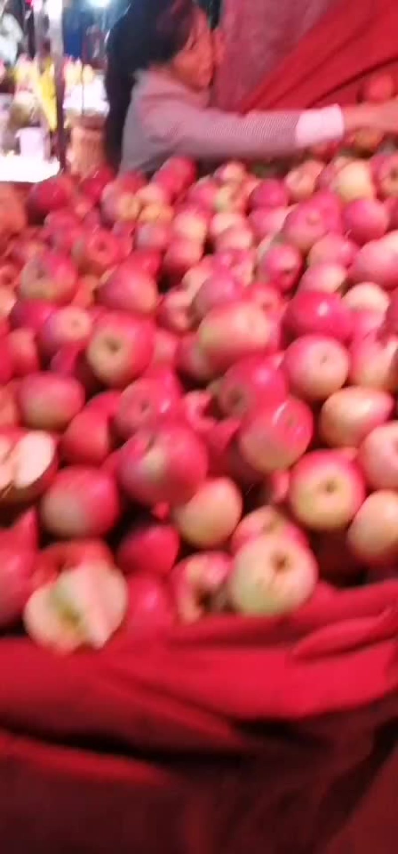 昭通糖心苹果