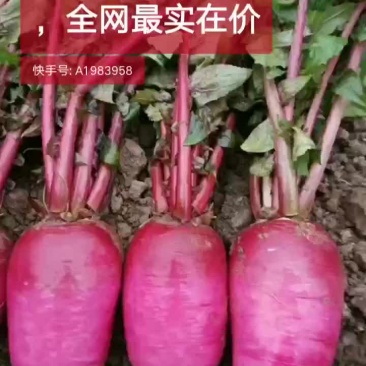 瓜果类